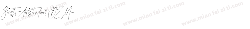 South Amsterdam DEM字体转换